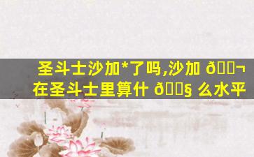 圣斗士沙加*
了吗,沙加 🐬 在圣斗士里算什 🐧 么水平